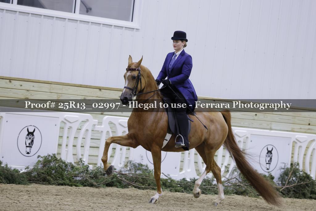 Proof Number 25R13_02997