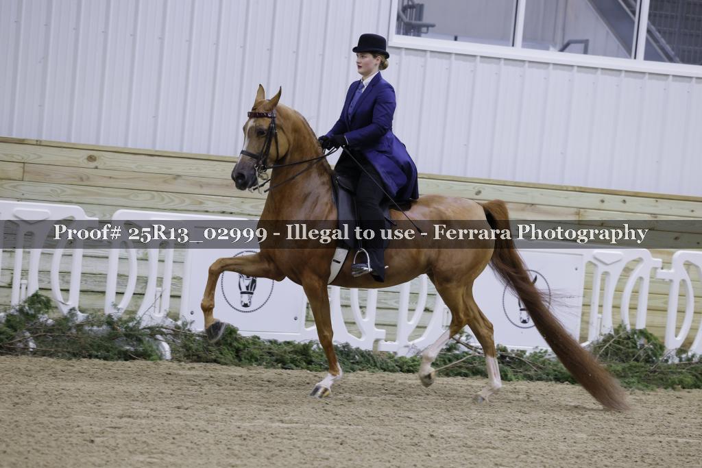 Proof Number 25R13_02999