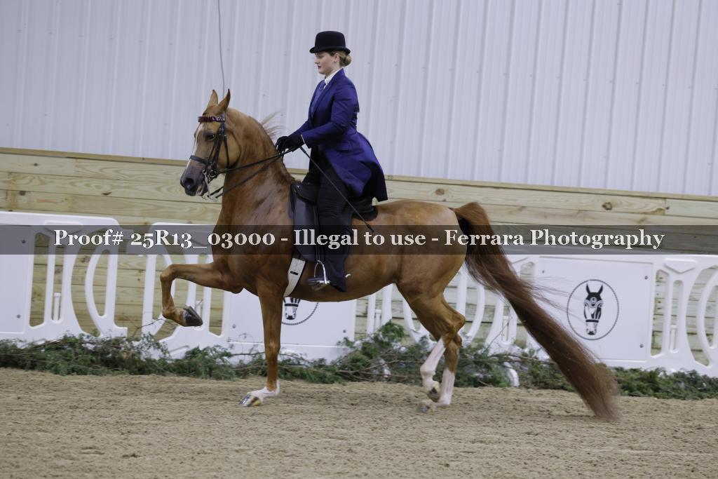 Proof Number 25R13_03000