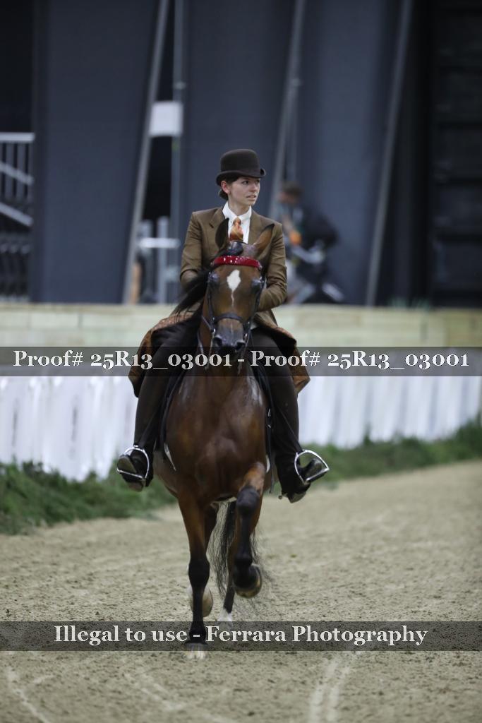 Proof Number 25R13_03001