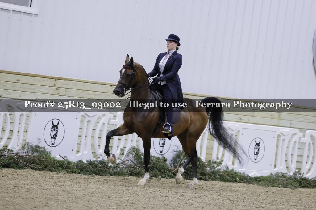 Proof Number 25R13_03002