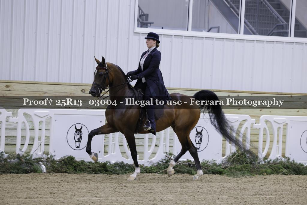 Proof Number 25R13_03004