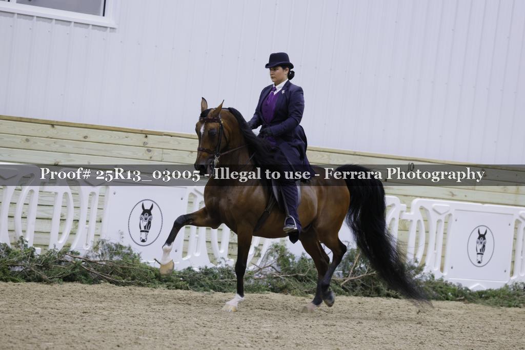 Proof Number 25R13_03005
