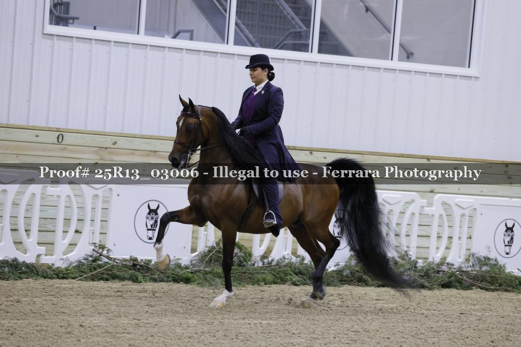 Proof Number 25R13_03006