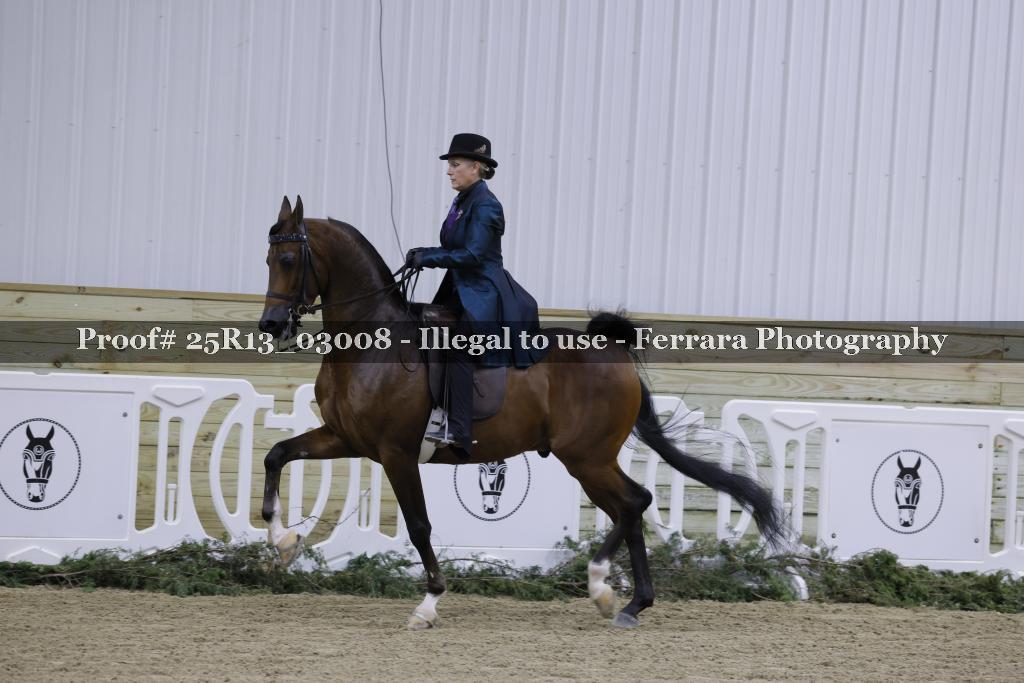 Proof Number 25R13_03008