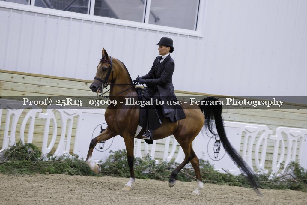Proof Number 25R13_03009