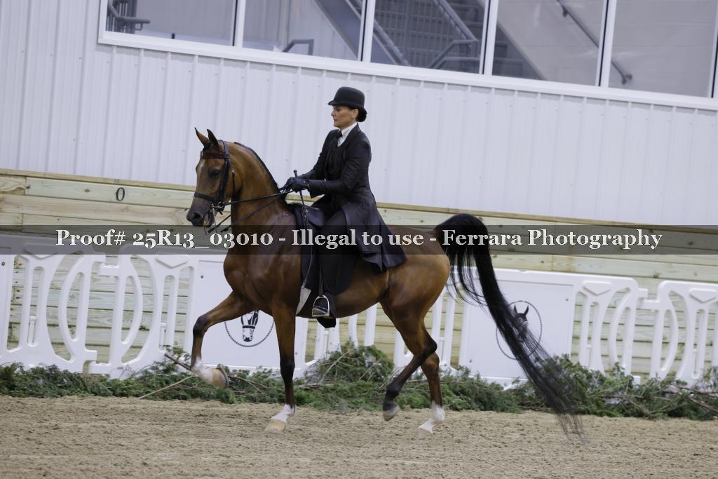 Proof Number 25R13_03010