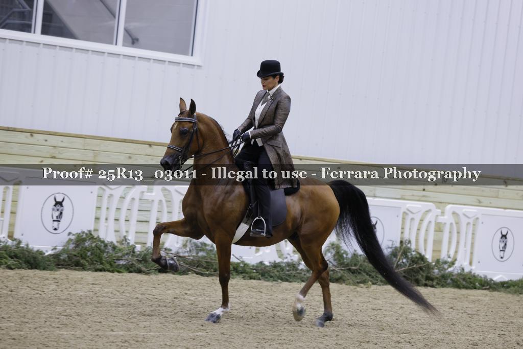 Proof Number 25R13_03011