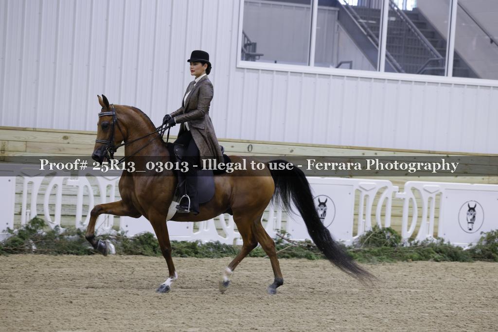 Proof Number 25R13_03013