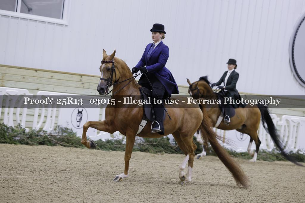 Proof Number 25R13_03015