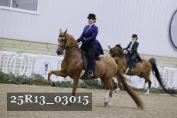 25R13_03015 thumbnail