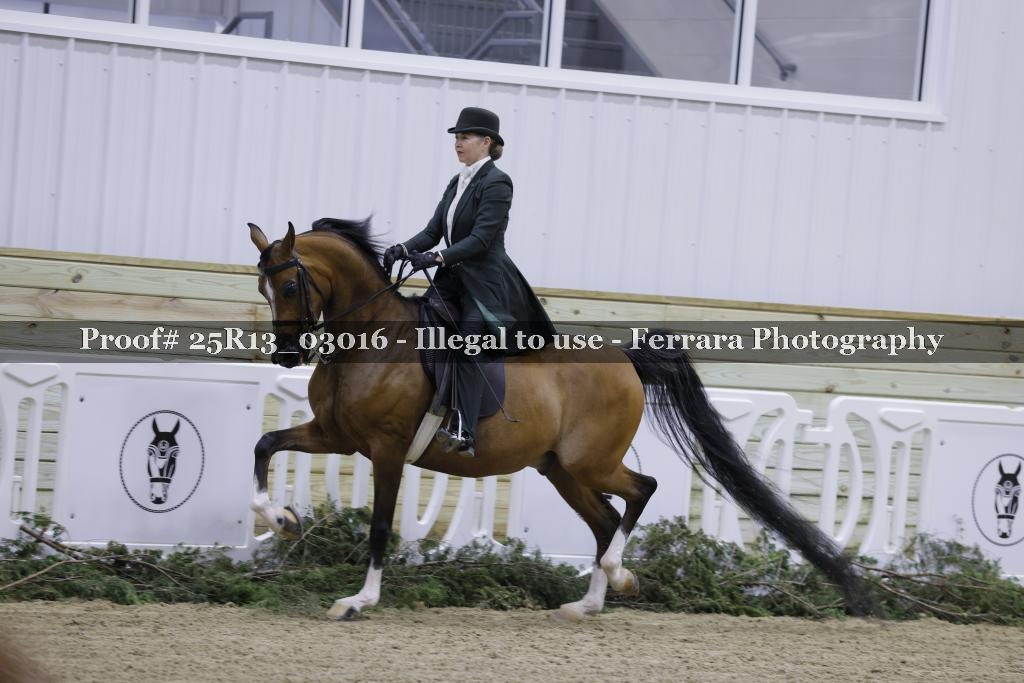 Proof Number 25R13_03016