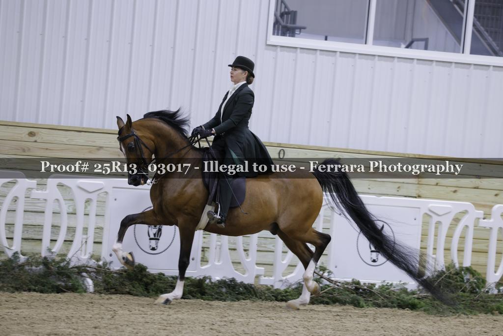 Proof Number 25R13_03017