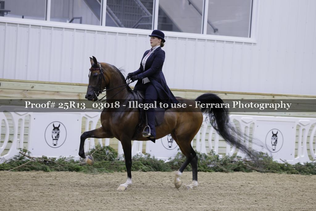 Proof Number 25R13_03018