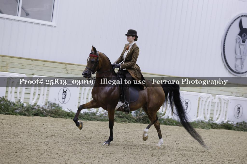 Proof Number 25R13_03019