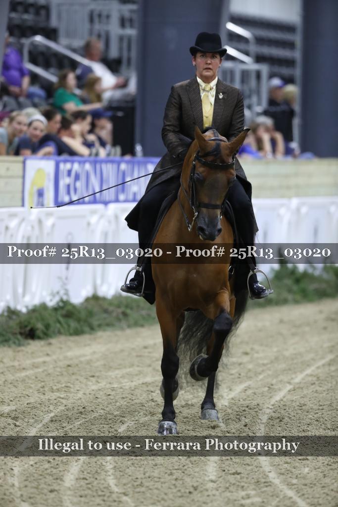 Proof Number 25R13_03020