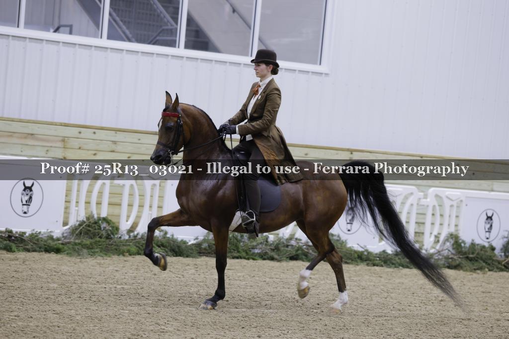 Proof Number 25R13_03021