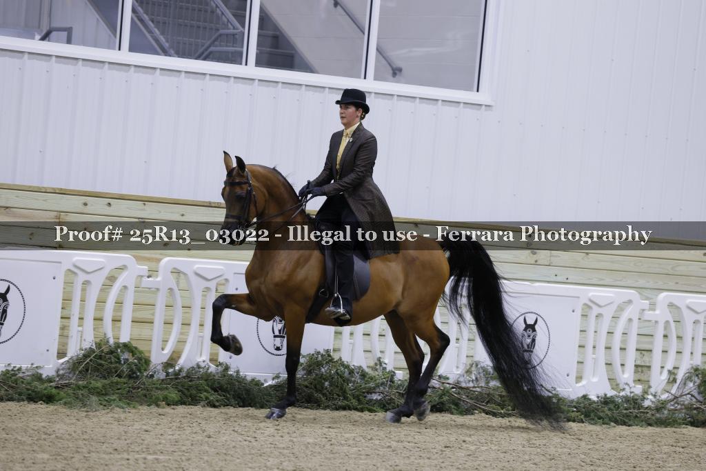 Proof Number 25R13_03022