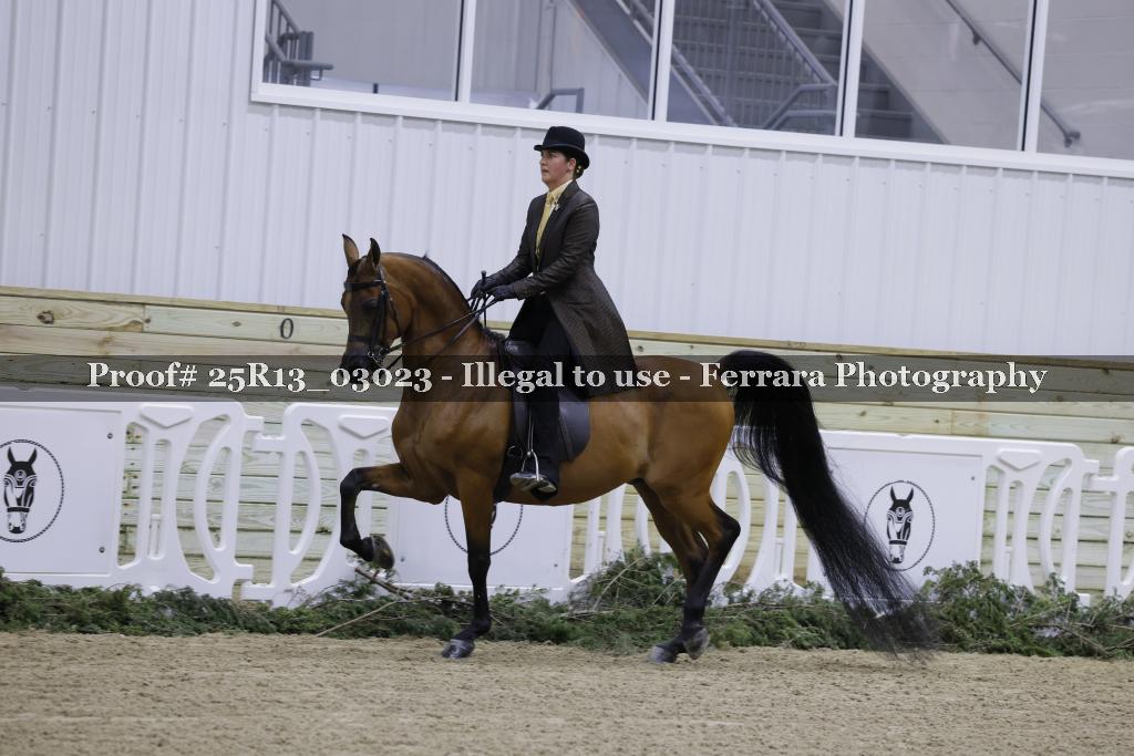 Proof Number 25R13_03023