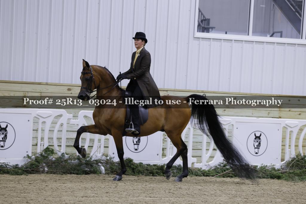 Proof Number 25R13_03024