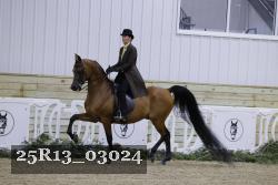 25R13_03024 thumbnail