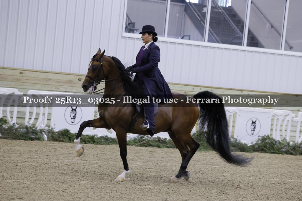 Proof Number 25R13_03025