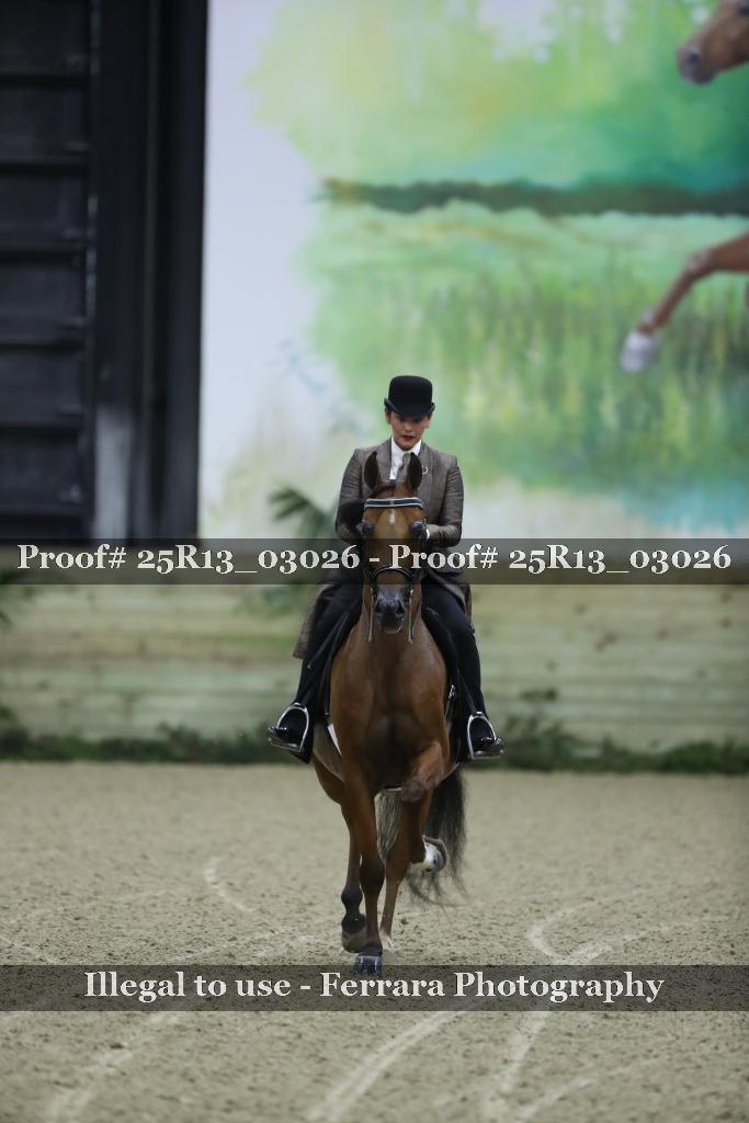 Proof Number 25R13_03026
