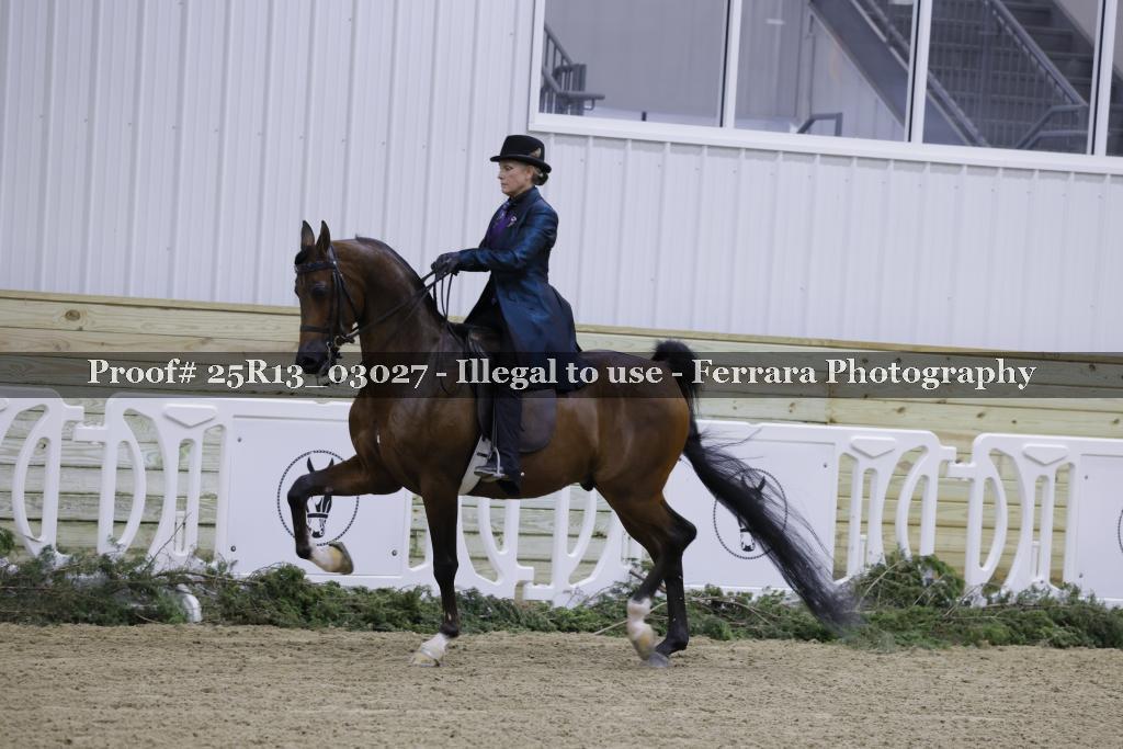 Proof Number 25R13_03027