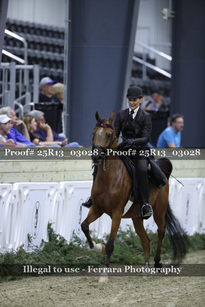 Proof Number 25R13_03028