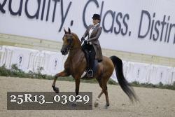 25R13_03029 thumbnail