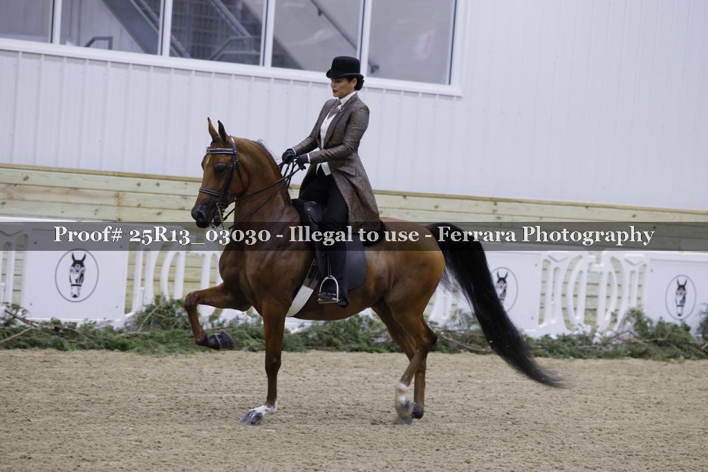 Proof Number 25R13_03030