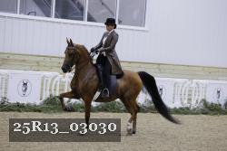 25R13_03030 thumbnail