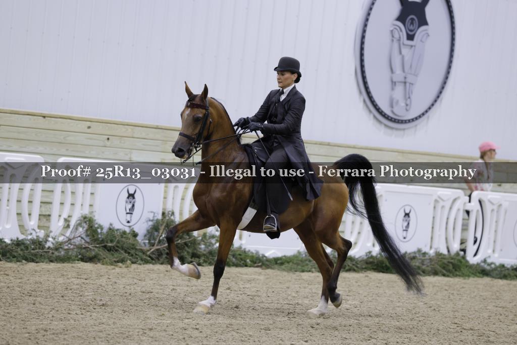 Proof Number 25R13_03031