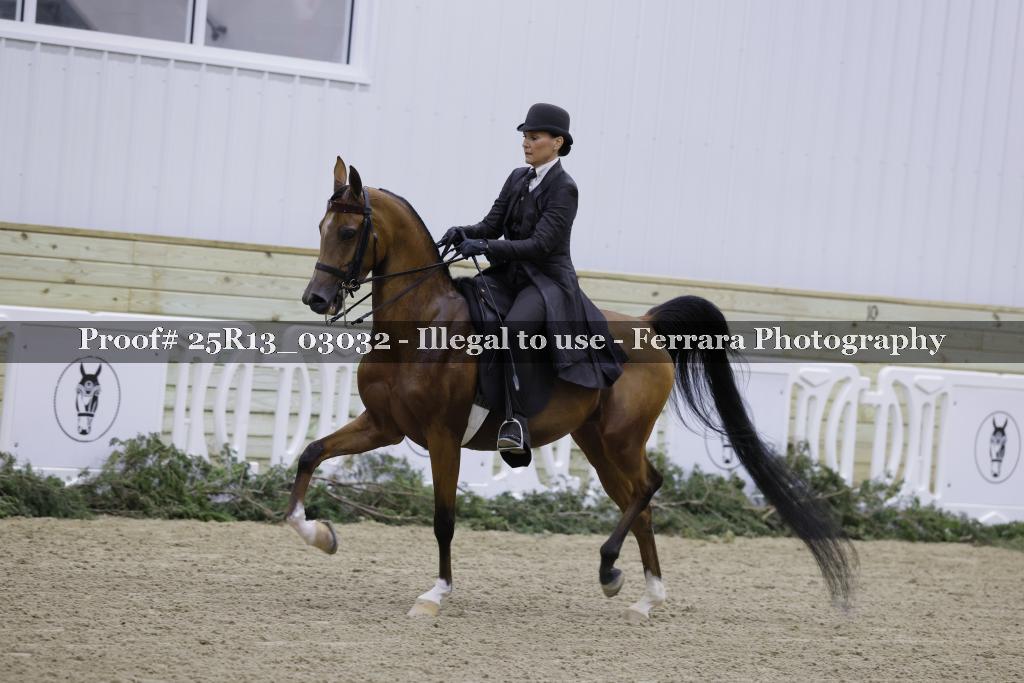 Proof Number 25R13_03032