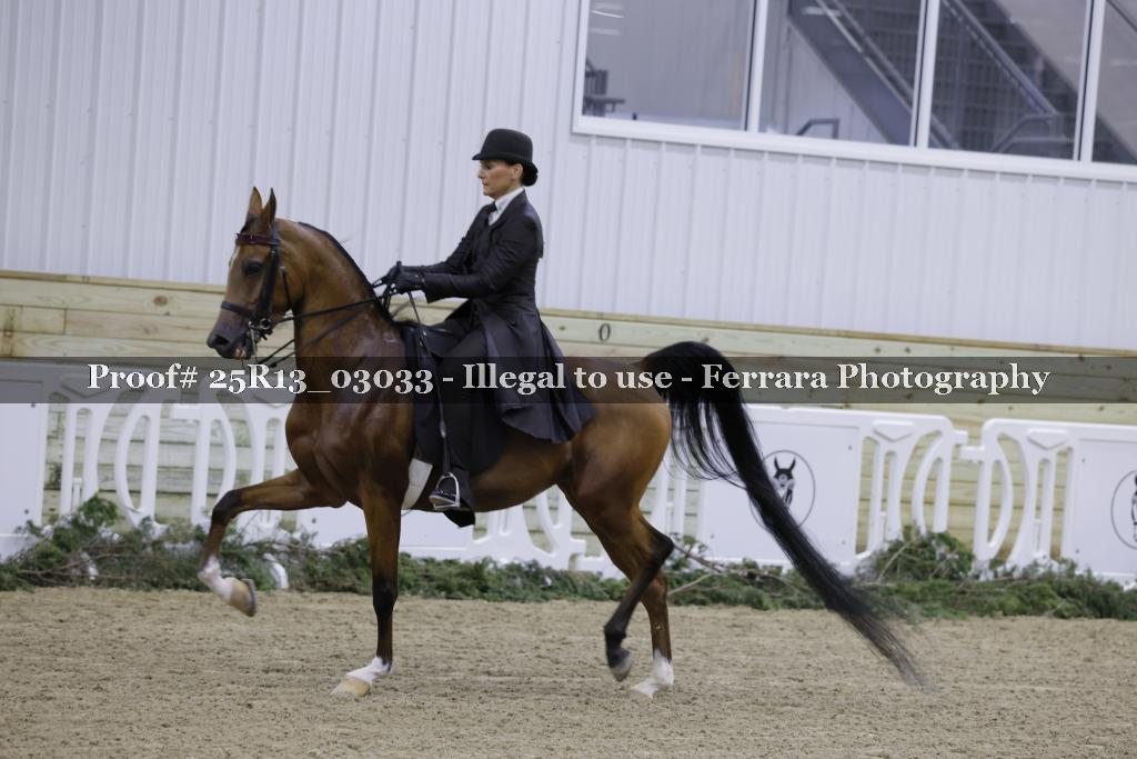 Proof Number 25R13_03033