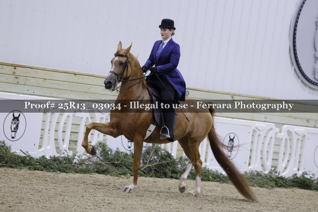 Proof Number 25R13_03034