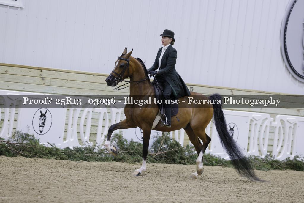 Proof Number 25R13_03036