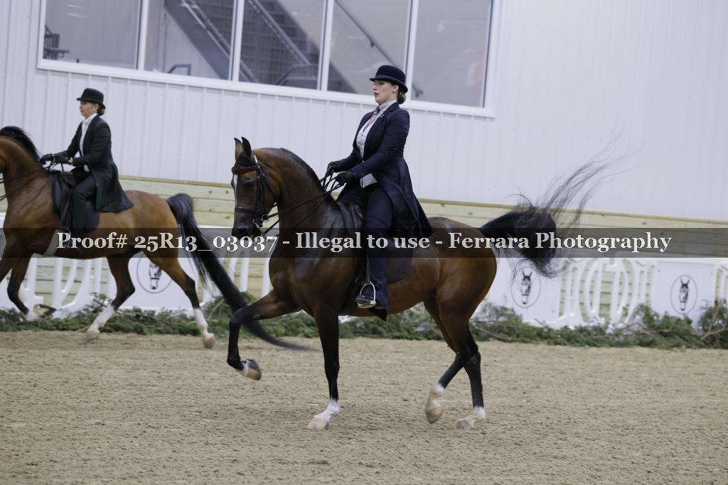 Proof Number 25R13_03037
