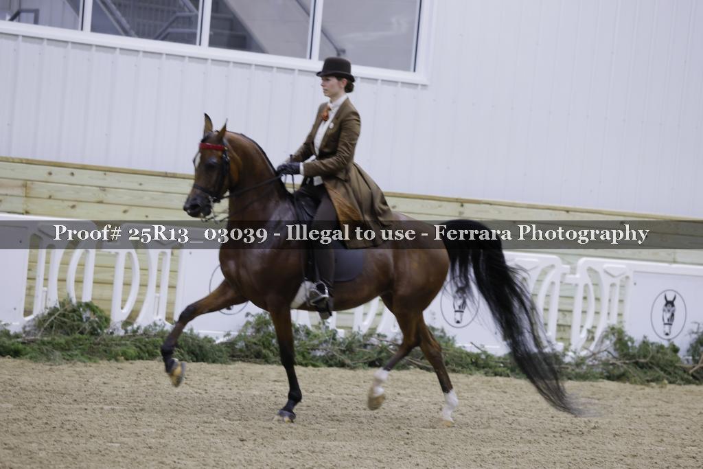 Proof Number 25R13_03039