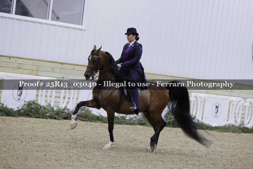 Proof Number 25R13_03040