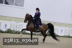 25R13_03040 thumbnail