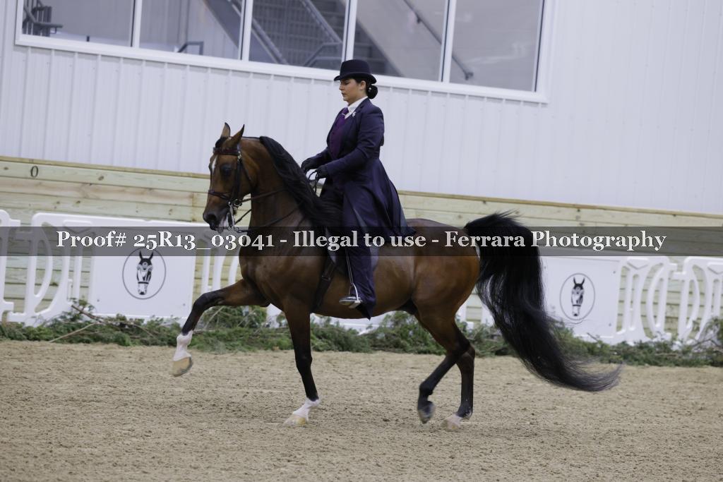Proof Number 25R13_03041