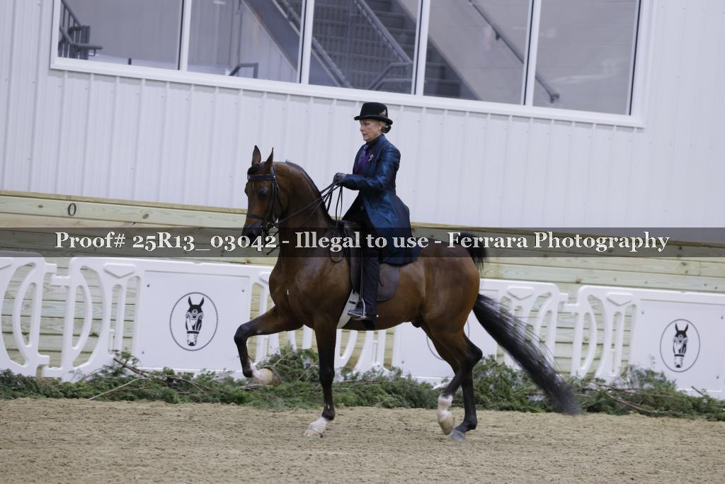 Proof Number 25R13_03042