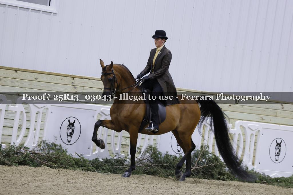 Proof Number 25R13_03043