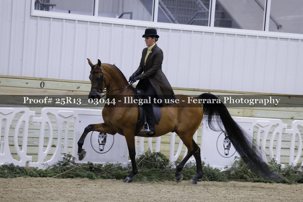 Proof Number 25R13_03044