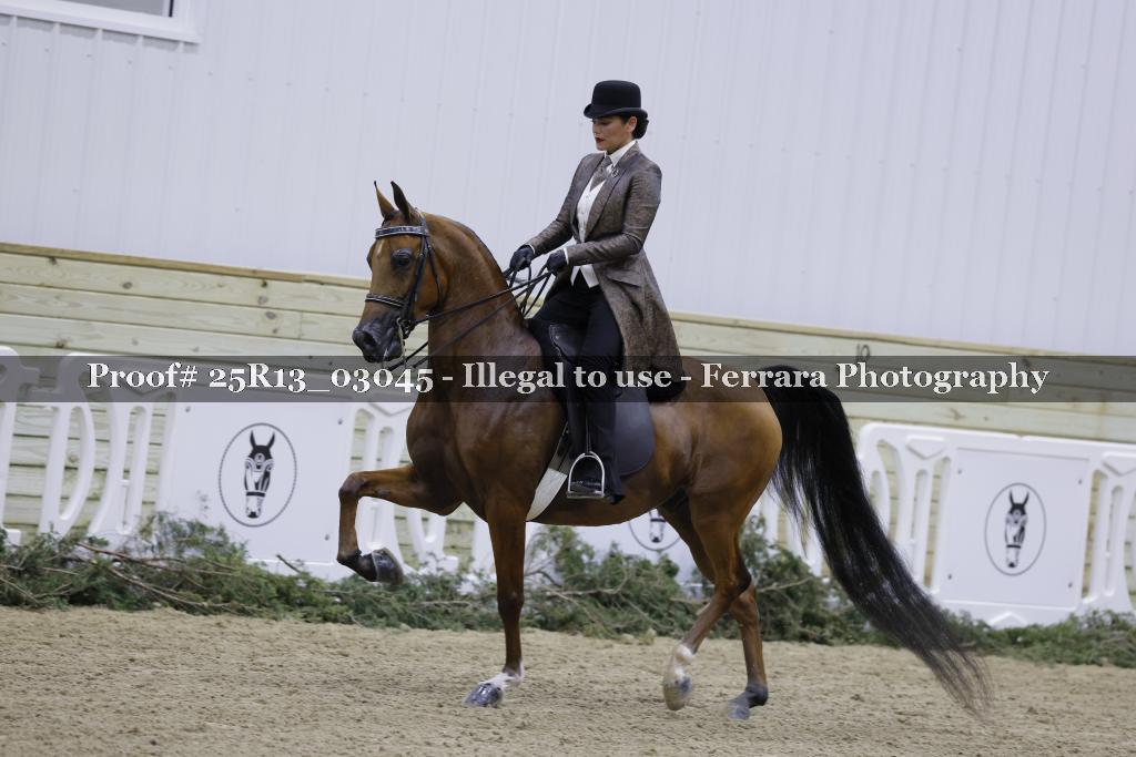 Proof Number 25R13_03045