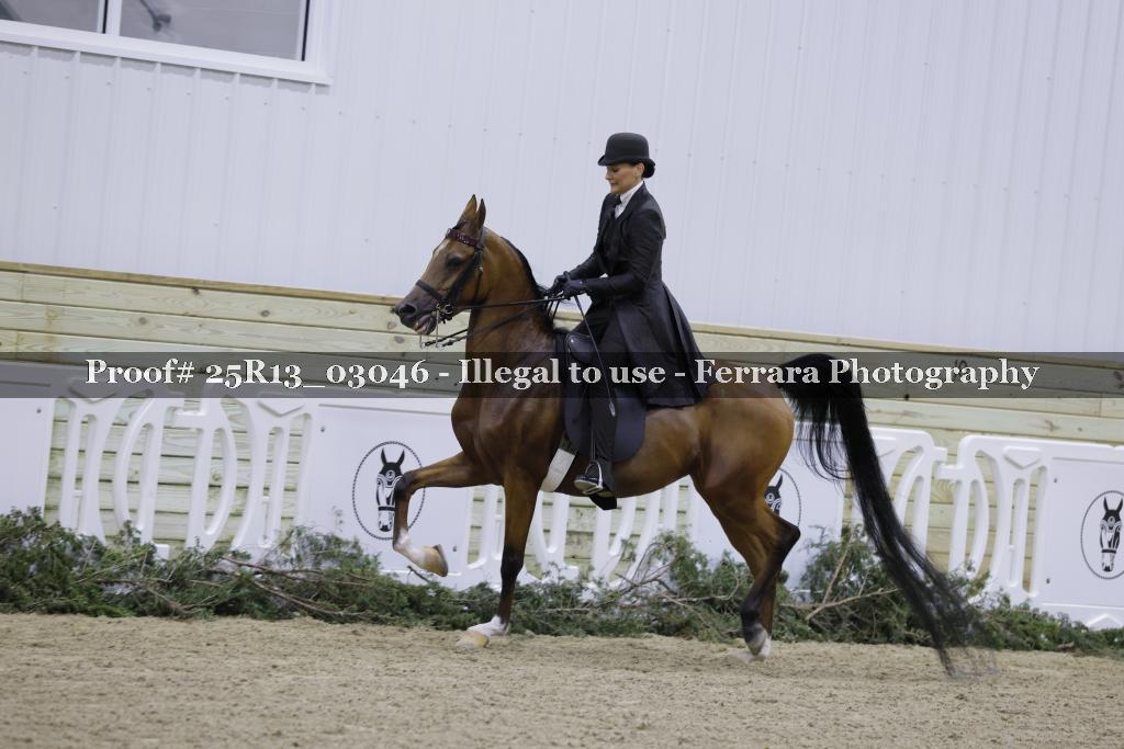 Proof Number 25R13_03046