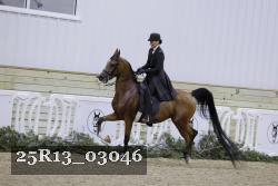 25R13_03046 thumbnail