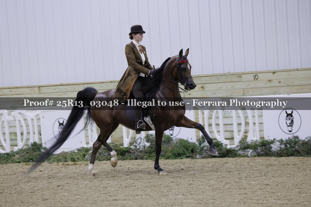 Proof Number 25R13_03048