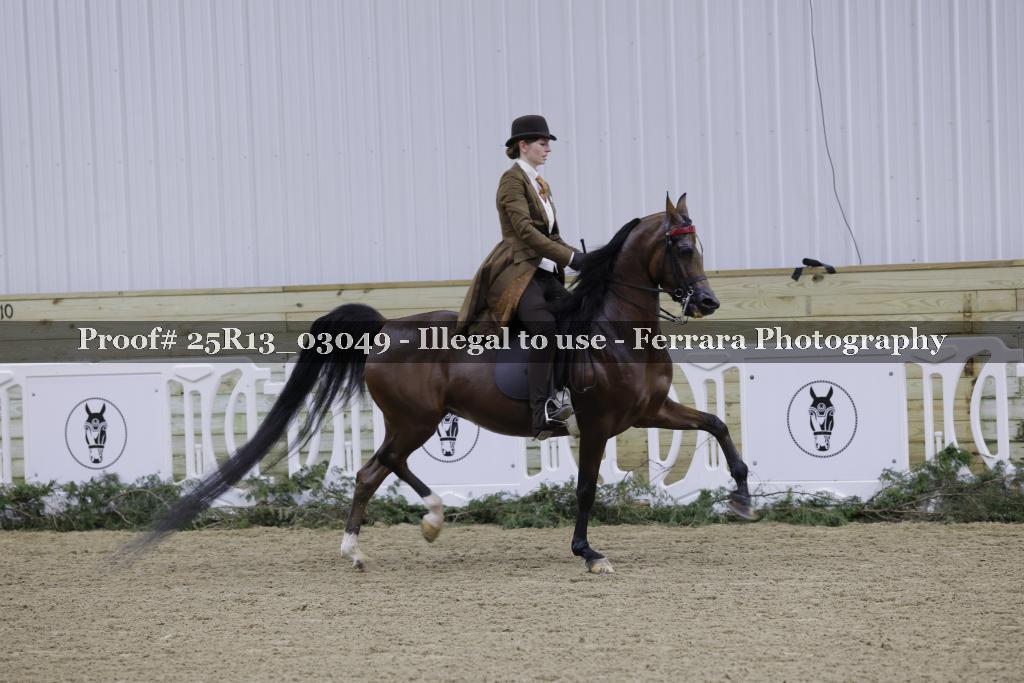 Proof Number 25R13_03049